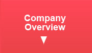 Company Overview